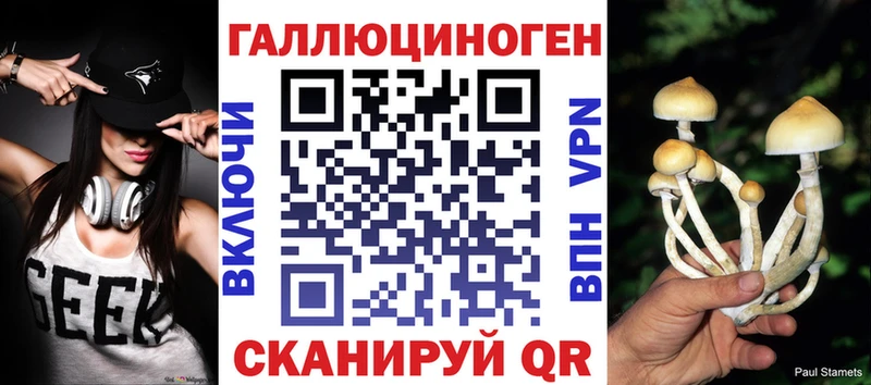 МЕГА как зайти даркнет как зайти Псилоцибиновые грибы мухоморы где можно купить наркотик Мурино