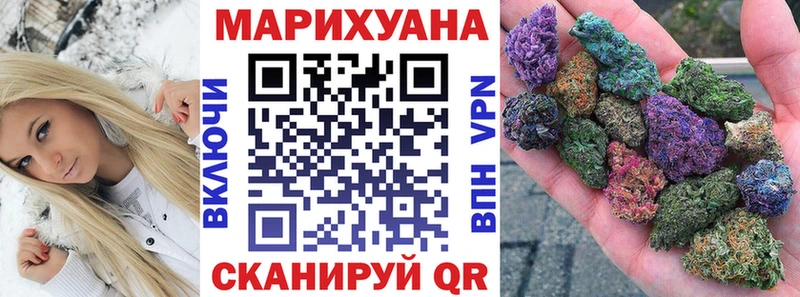 наркота  Мурино  Канабис индика 